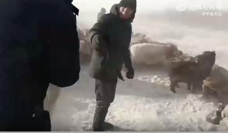 新疆民警暴风雪中搜寻3小时 为牧民找回800只羊